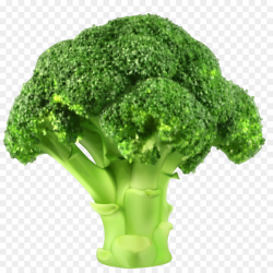 Broccoli Cauliflower Vegetable Clip art - cauliflower png download ...