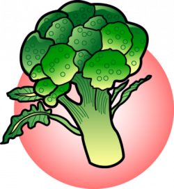 Image: Broccoli | Food Clip Art | Christart.com