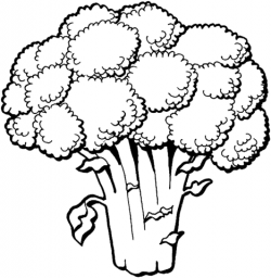 Broccoli coloring page | Free Printable Coloring Pages
