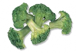 Free Broccoli Clipart, 1 page of Public Domain Clip Art