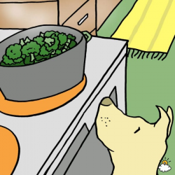 Can Dogs Eat Broccoli?