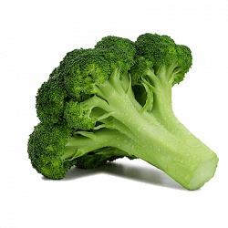 Dark Green Broccoli transparent PNG - StickPNG