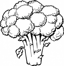 Broccoli Clip Art at Clker.com - vector clip art online, royalty ...