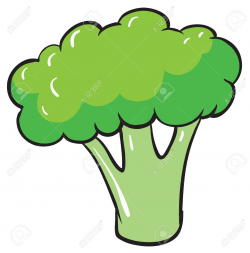 28+ Collection of Broccoli Drawing Cartoon | High quality, free ...