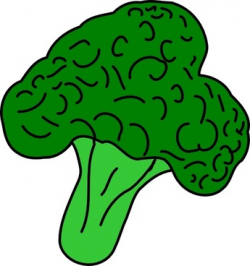 Broccoli illustration free vector download (20 Free vector) for ...