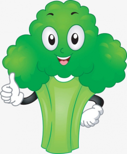 Cartoon Cauliflower, Cauliflower, Mascot, Free Pull PNG Image and ...