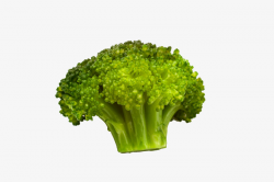 Organic Vegetable Broccoli, Hd Broccoli, Vegetables, Hd Organic ...