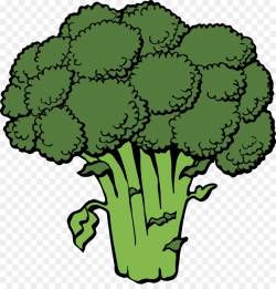 Broccoli Vegetable Clip art - Green cauliflower png download - 1870 ...