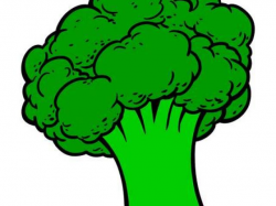 Broccoli Clipart - Free Clipart on Dumielauxepices.net