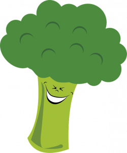Free photo Vegetables Vegetable Broccoli Food Green - Max Pixel