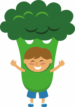 Vegetable Fruit Food Cauliflower Broccoli - Green cauliflower ...