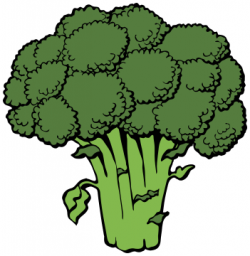 broccoli clipart - /food/vegetables/broccoli/broccoli_clipart.png.html