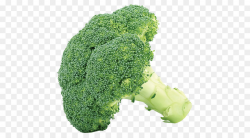 Broccoli Cabbage Vegetable Cauliflower Clip art - broccoli png ...