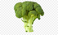 Broccoli Food Vegetable Clip art - Broccoli PNG Transparent Images ...
