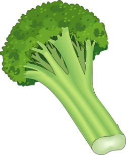 broccoli - /food/vegetables/broccoli/broccoli.png.html