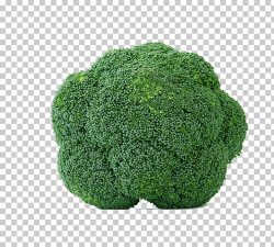 Cancer Health Pharmaceutical drug Therapy Cure, broccoli PNG ...