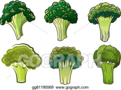 Vector Clipart - Isolated green ripe broccoli vegetables ...