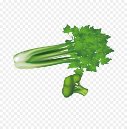 Leaf vegetable Broccoli Celery u7dd1u9ec4u8272u91ceu83dc - Green ...