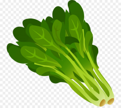 Spinach Leaf vegetable Clip art - Spinach Cliparts png download ...