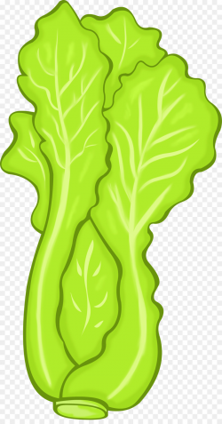Vegetarian cuisine Vegetable Lettuce Food Clip art - lettuce png ...