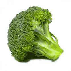 Broccoli clip art Free Vector - Clip Art Library