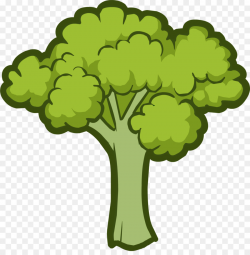 Broccoli Vegetable Lettuce Clip art - broccoli png download - 1650 ...