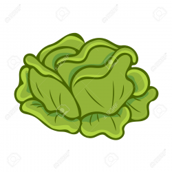 Cabbage clipart cartoon - Pencil and in color cabbage clipart cartoon