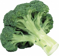 Broccoli transparent PNG - StickPNG