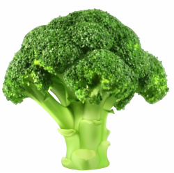 Broccoli PNG Clipart - Best WEB Clipart