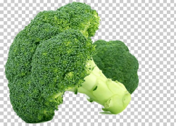 Romanesco Broccoli Vegetable Food PNG, Clipart, Broccoli ...