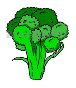 Broccoli Clipart Vegitable Free collection | Download and share ...