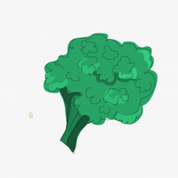 Green Broccoli, Food, Cartoon, Broccoli PNG and Vector for Free Download