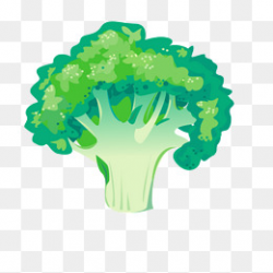 Broccoli Vector Png, Vectors, PSD, and Clipart for Free Download ...