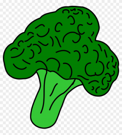 Broccoli Vegetable Healthy Food Png Image - Broccoli Clipart ...