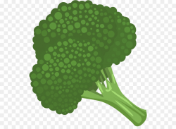 Broccoli Cauliflower Vegetable Clip art - Broccoli Cliparts png ...