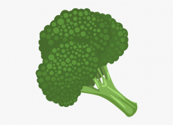 Vegetable Free To Use Clip Art - Broccoli Png Clip Art ...