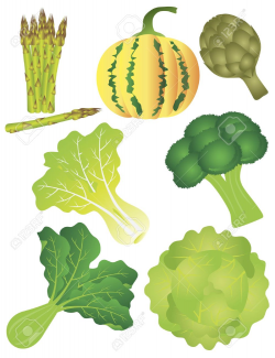 Broccoli clipart green vegetable - Pencil and in color broccoli ...