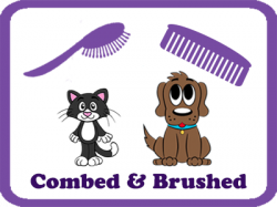 Paradise Pet Salon in Riverview – Riverview's top Dog Salon and Grooming