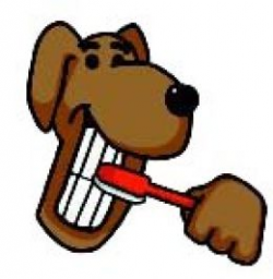 Brush Your Dog's Teeth | Ashford Manor Labradoodles