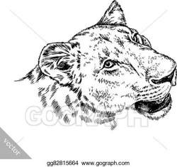 Vector Art - Brush painting ink draw isolated lion illustration ...
