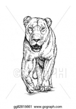 Drawing - Brush painting ink draw isolated lion illustration ...