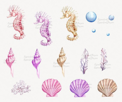 Ocean Watercolor Clipart Seahorse Pink Purple Sea Illustration ...
