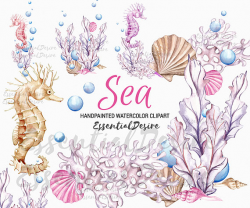 Ocean Watercolor Clipart Seahorse Pink Purple Sea Illustration ...
