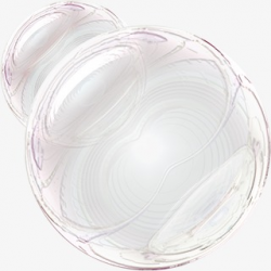 Transparent Bubble, Transparent Soap Bubbles, Soap Bubble PNG Image ...