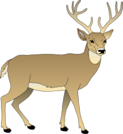 Buck Clipart Images | Clipart Panda - Free Clipart Images