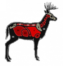 Whitetail Deer | The Hunter Wikia | FANDOM powered by Wikia