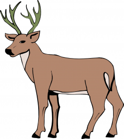 Free Cartoon Pictures Of Deer, Download Free Clip Art, Free ...