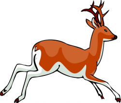 Free Deer Clipart