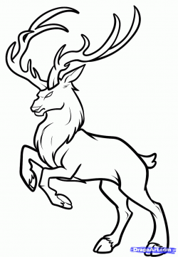 Buck Deer Coloring Pages | Clipart Panda - Free Clipart Images