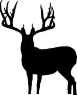 Big Buck! Deer Decal Deer Sticker Deer Hunting Waterfowl Decal 1107 ...